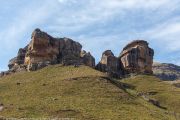 228IMG_0876