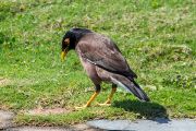 240IMG_0943