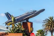 260IMG_1025
