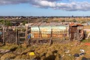 261IMG_1081