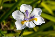 301IMG_1486