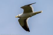 301IMG_8203
