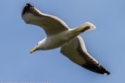 301IMG_8204