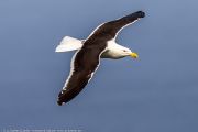 301IMG_8211