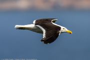 301IMG_8215