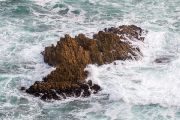 303IMG_8224