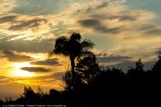 305IMG_1592