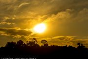 306IMG_1558