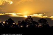 306IMG_1575