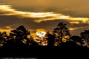 306IMG_1587