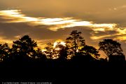 306IMG_1589
