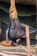 342IMG_1766