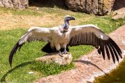 342IMG_1777