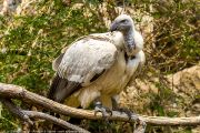 342IMG_8473