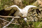 342IMG_8482