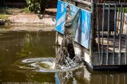 343IMG_1828