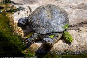 344IMG_8455