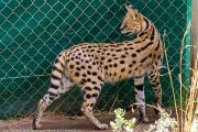 348IMG_8543