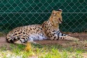 348IMG_8556