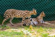 348IMG_8557