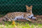348IMG_8564