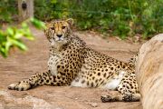 348IMG_8566