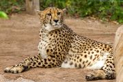 348IMG_8579