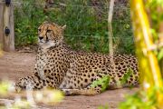 348IMG_8592