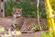 348IMG_8597