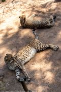 349IMG_1846