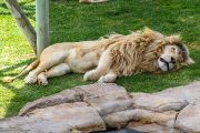 351IMG_8604