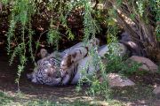 351IMG_8647