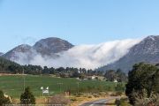 380IMG_1912