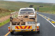 380IMG_1968