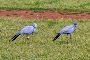 380IMG_8764