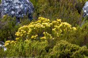 406IMG_8822