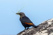 408IMG_8809