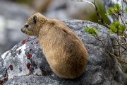 409IMG_8851