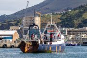 424IMG_8914