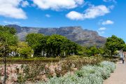442IMG_2396