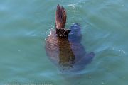 461IMG_2659