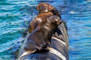 461IMG_8937