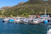 462IMG_2679