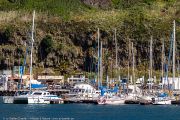 462IMG_8949