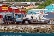 462IMG_8952