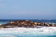 463IMG_8979
