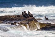 463IMG_8982