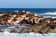 463IMG_8989