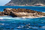 463IMG_8998