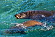 463IMG_9043